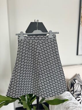Zara Black and White A-Line Skirt